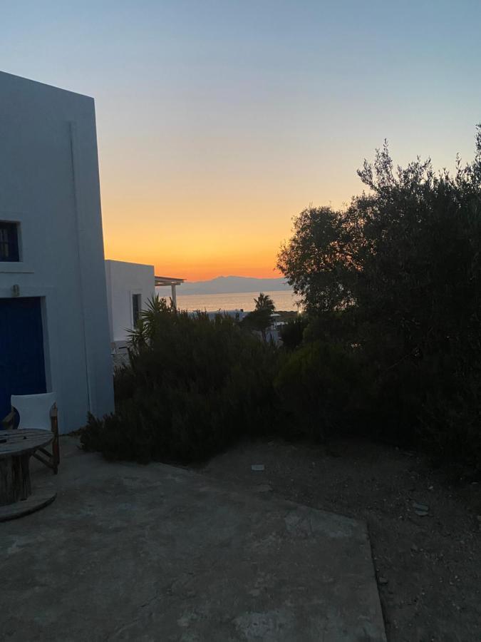Iliopetra Studios Chrisi Akti  Exteriér fotografie