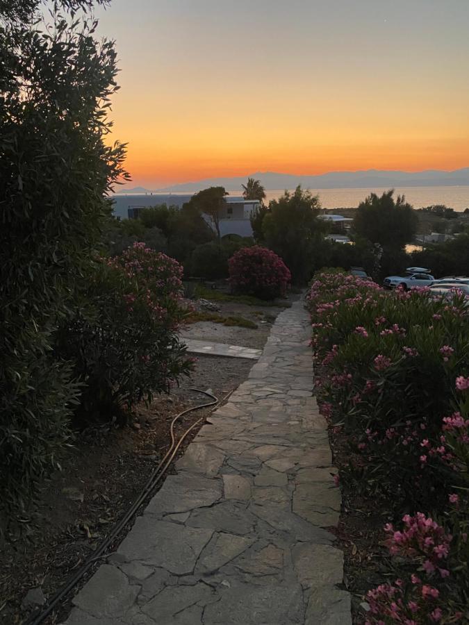 Iliopetra Studios Chrisi Akti  Exteriér fotografie
