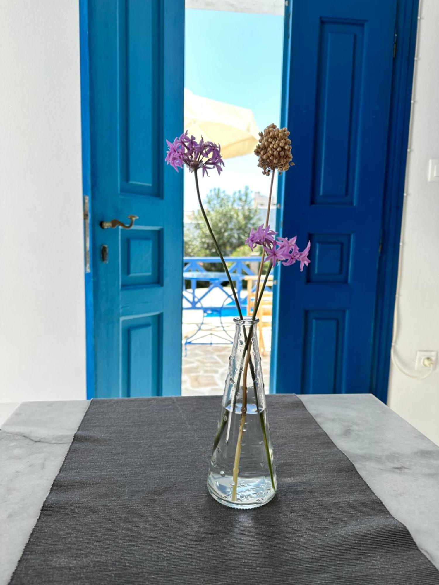 Iliopetra Studios Chrisi Akti  Exteriér fotografie