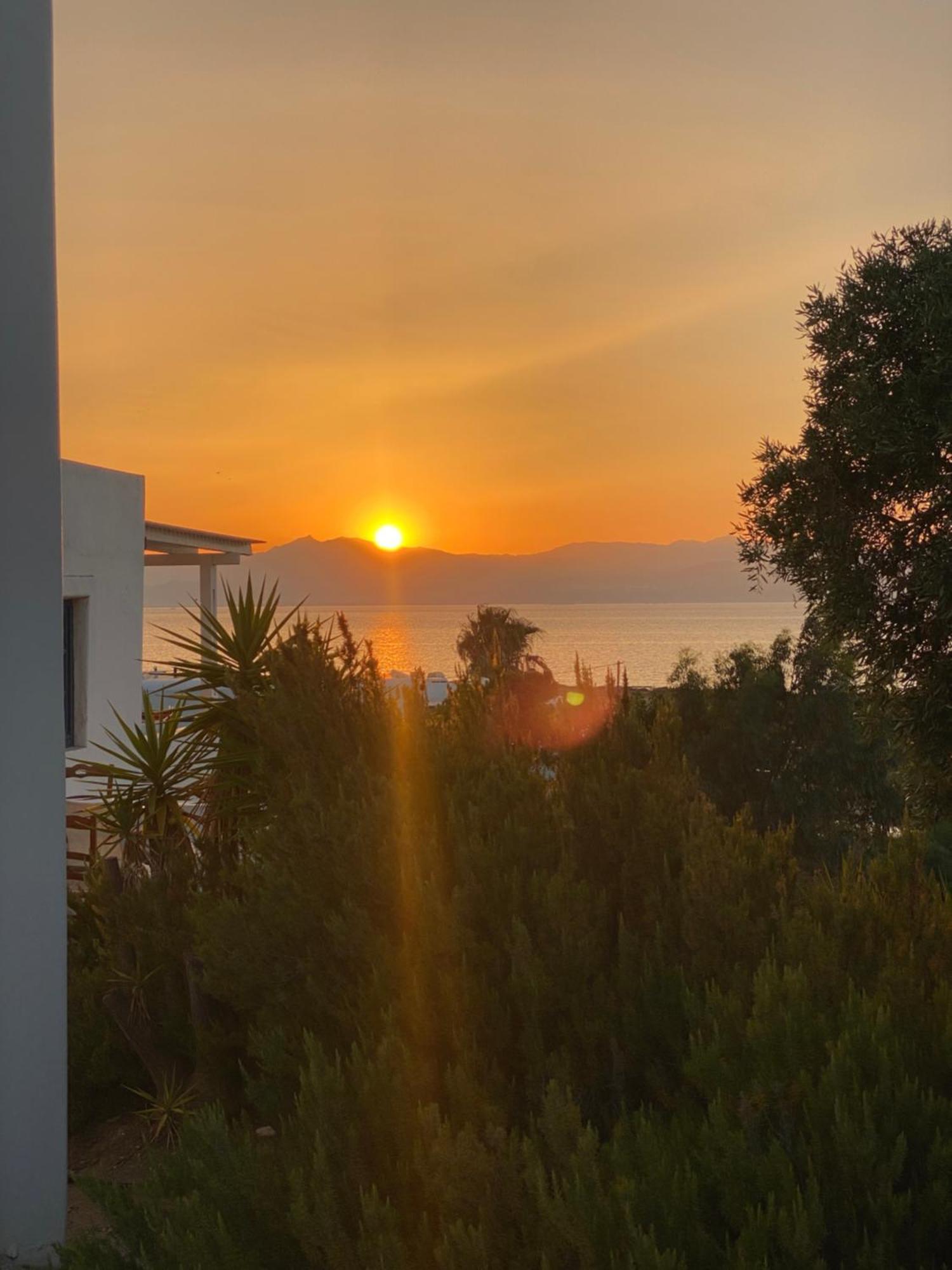Iliopetra Studios Chrisi Akti  Exteriér fotografie